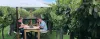 Magic in Marlborough personalised tours, winery tours, gourmet tours, day tours New Zealand